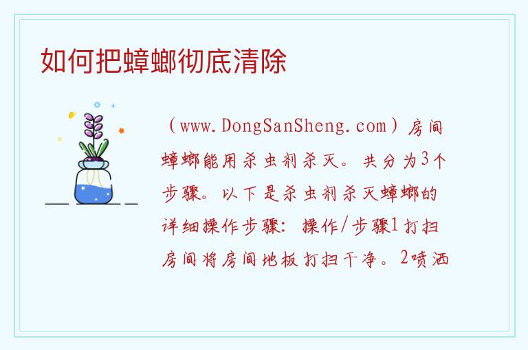 如何把蟑螂彻底清除 