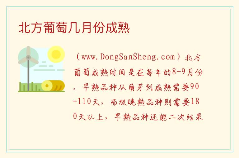北方葡萄几月份成熟 