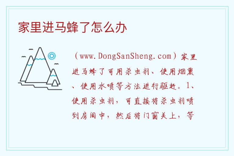 家里进马蜂了怎么办 