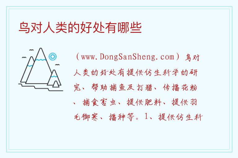 鸟对人类的好处有哪些 