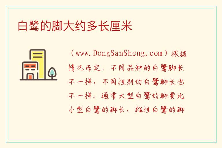 白鹭的脚大约多长厘米 