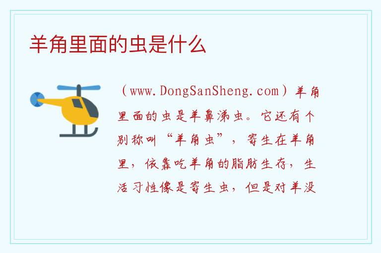 羊角里面的虫是什么 