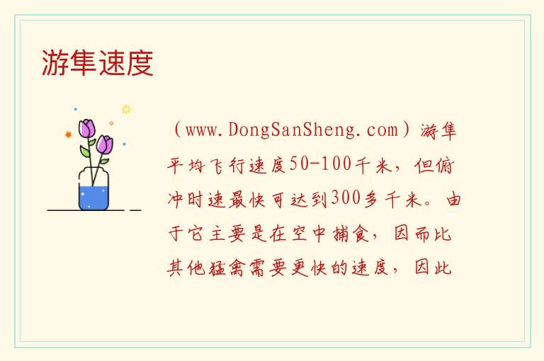 游隼速度 