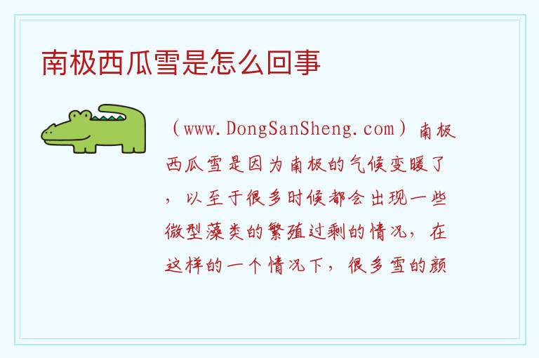 南极西瓜雪是怎么回事 