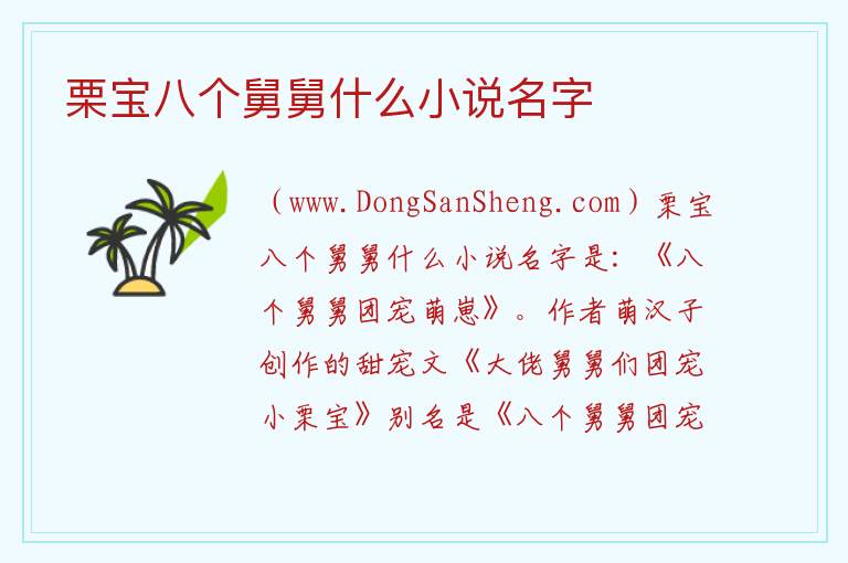 栗宝八个舅舅什么小说名字 