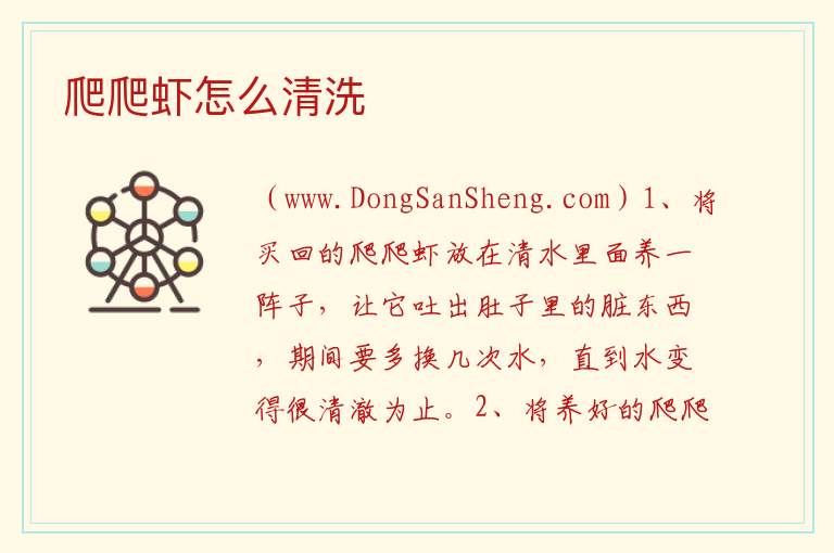 爬爬虾怎么清洗 