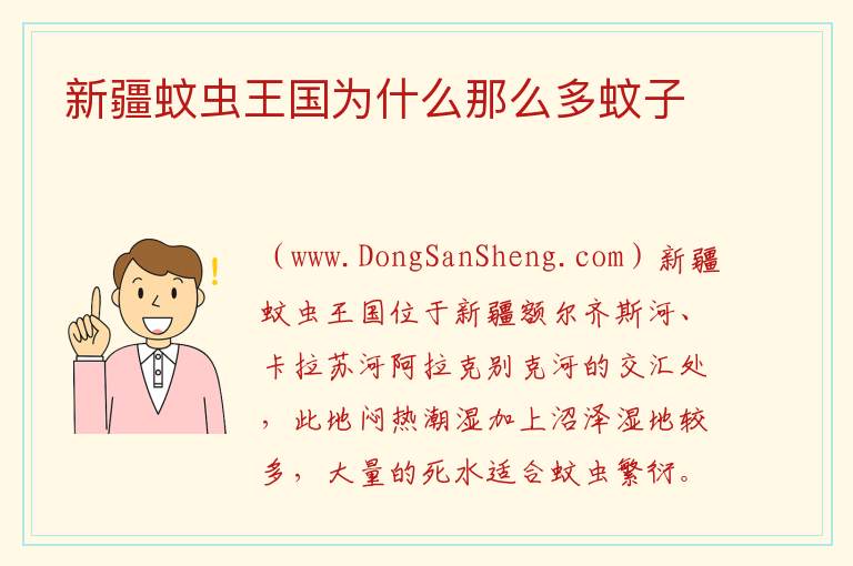 新疆蚊虫王国为什么那么多蚊子 