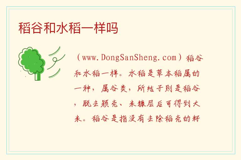 稻谷和水稻一样吗 