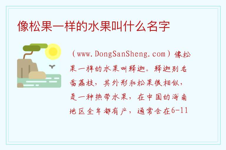 像松果一样的水果叫什么名字 