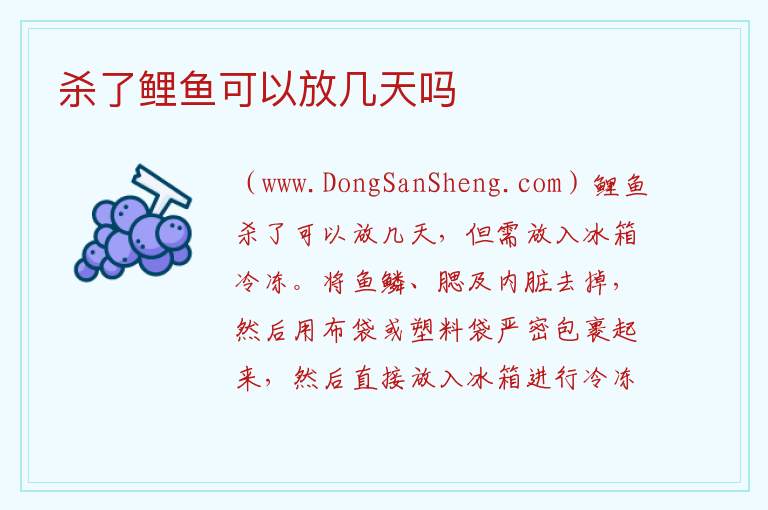 杀了鲤鱼可以放几天吗 