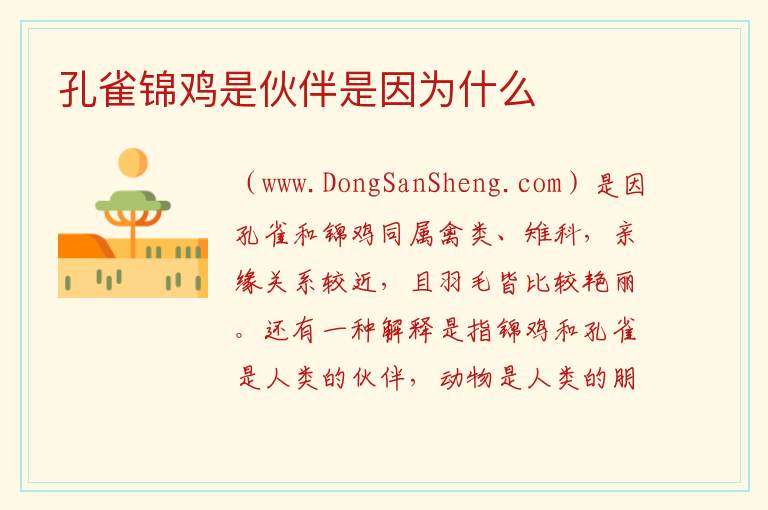 孔雀锦鸡是伙伴是因为什么 