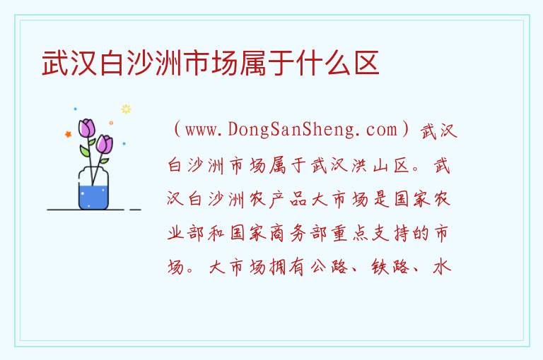 武汉白沙洲市场属于什么区 