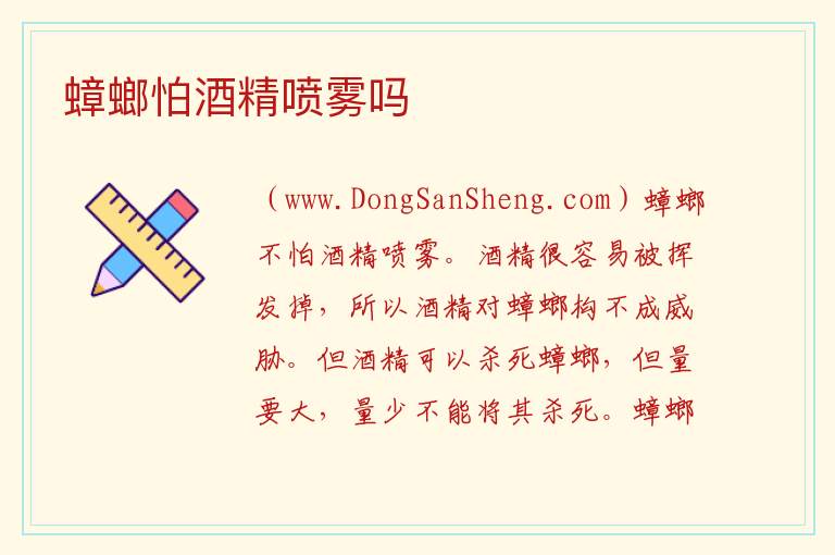 酒精可以杀死蟑螂吗，酒精可以杀死蟑螂吗