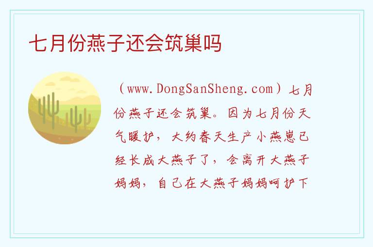 七月份燕子还会筑巢吗 