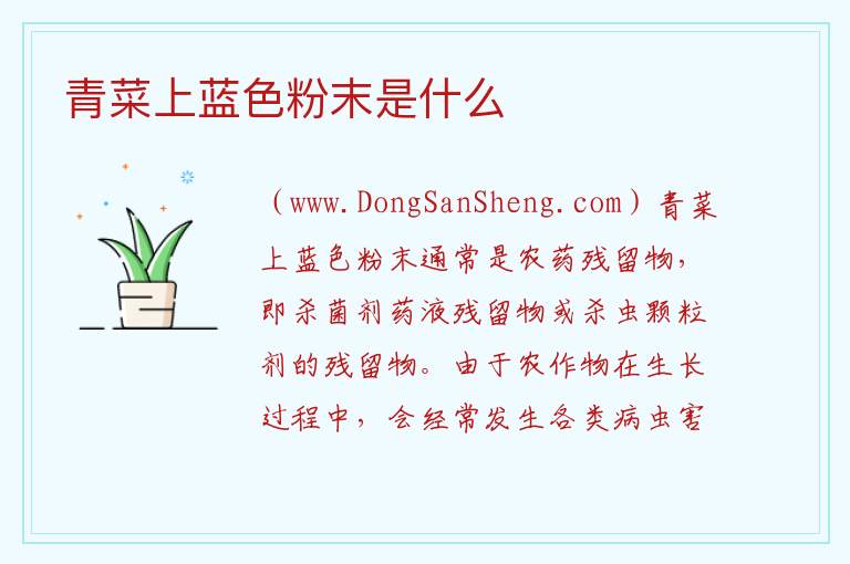 青菜上蓝色粉末是什么 
