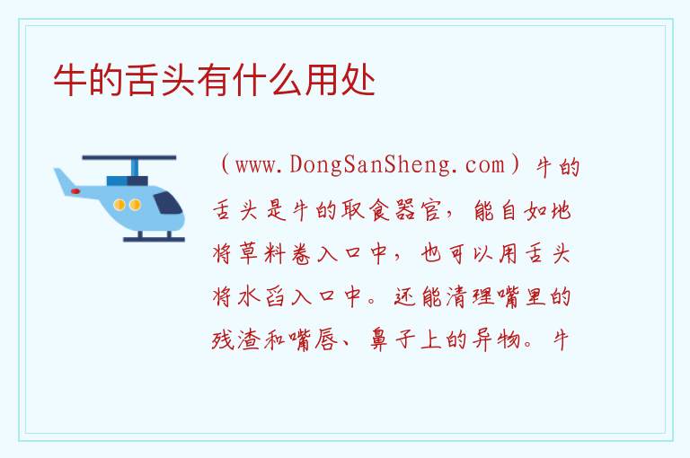 牛的舌头有什么用处 