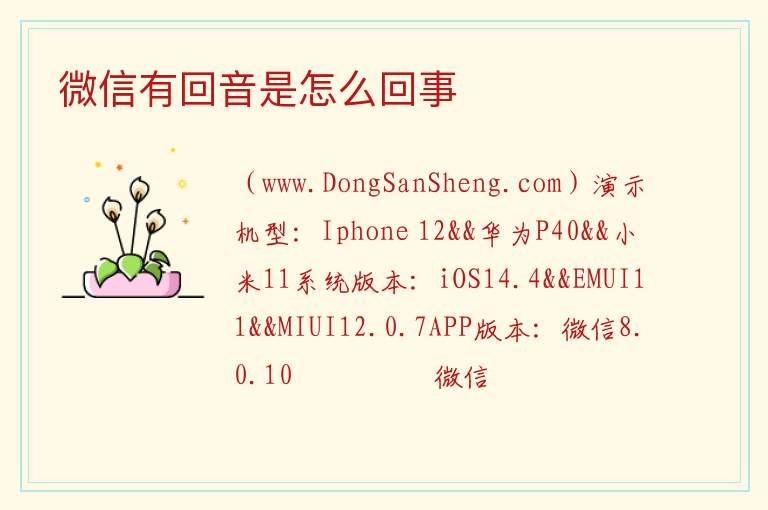 微信有回音是怎么回事 