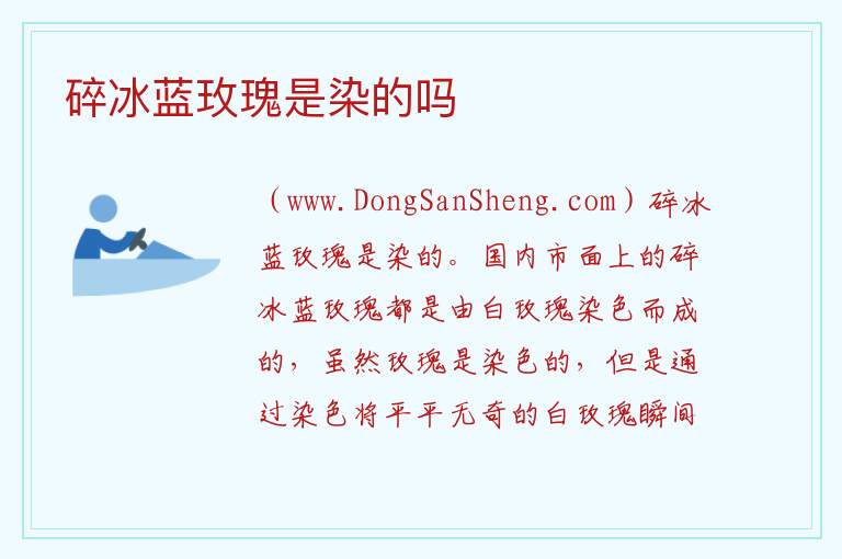 碎冰蓝玫瑰是染的吗 