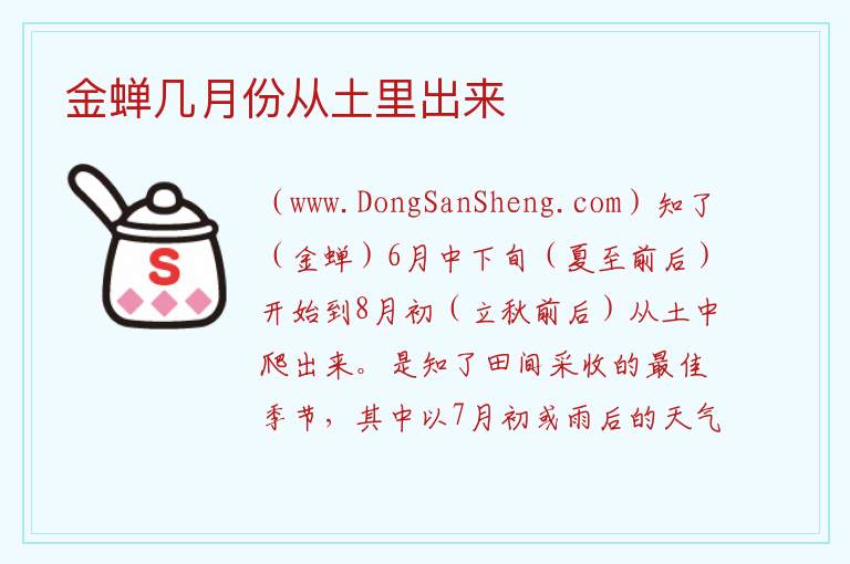 金蝉几月份从土里出来 