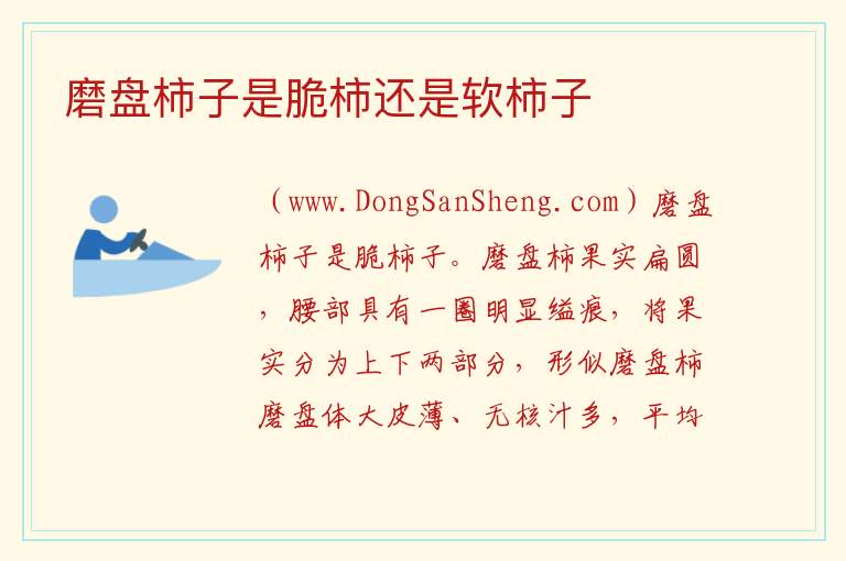 磨盘柿子是脆柿还是软柿子 