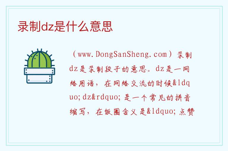 录制dz是什么意思 