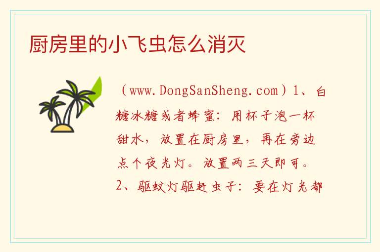 厨房里的小飞虫怎么消灭 