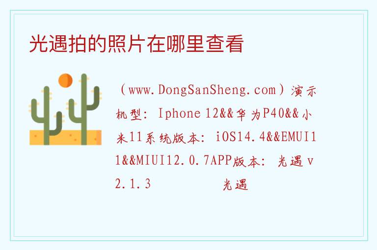 光遇拍的照片在哪里查看 