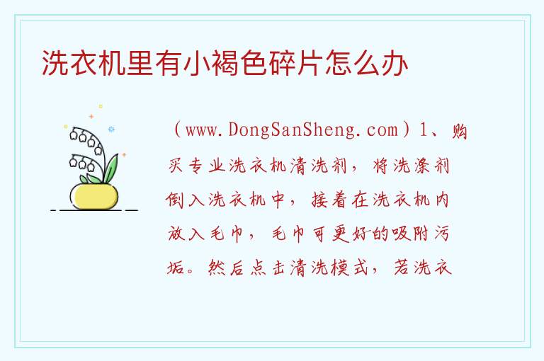 洗衣机里有小褐色碎片怎么办 