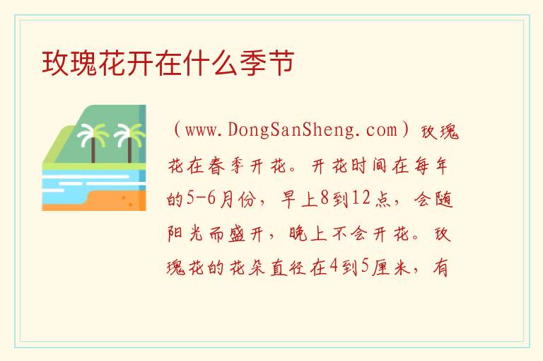 玫瑰花开在什么季节 