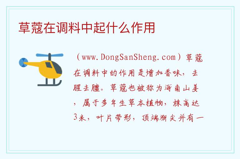 草蔻在调料中起什么作用 