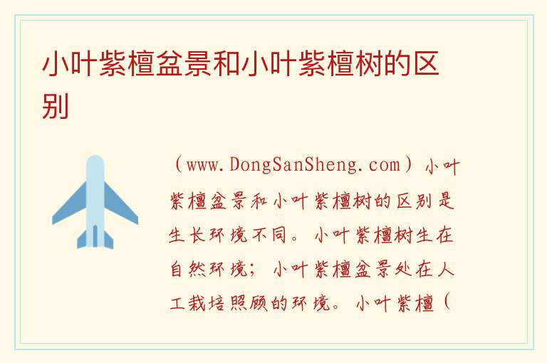小叶紫檀盆景和小叶紫檀树的区别 小叶紫檀盆景真假辨别