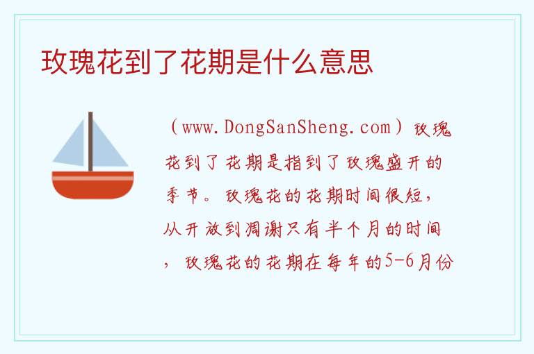 玫瑰花到了花期是什么意思 玫瑰到了花期是啥意思