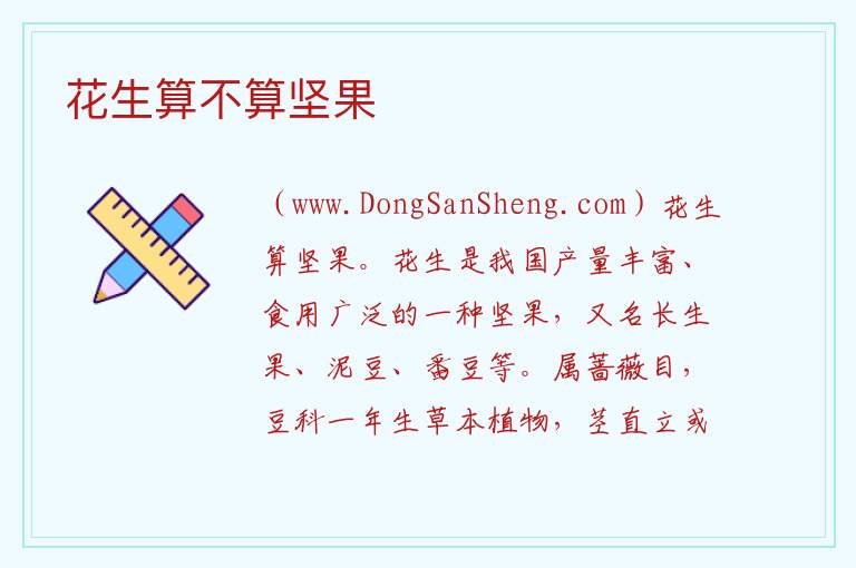 花生算不算坚果 