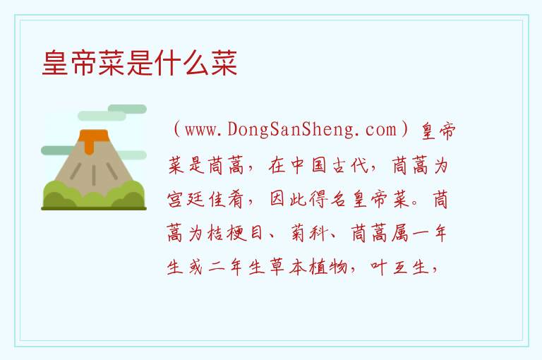 皇帝菜是什么菜 