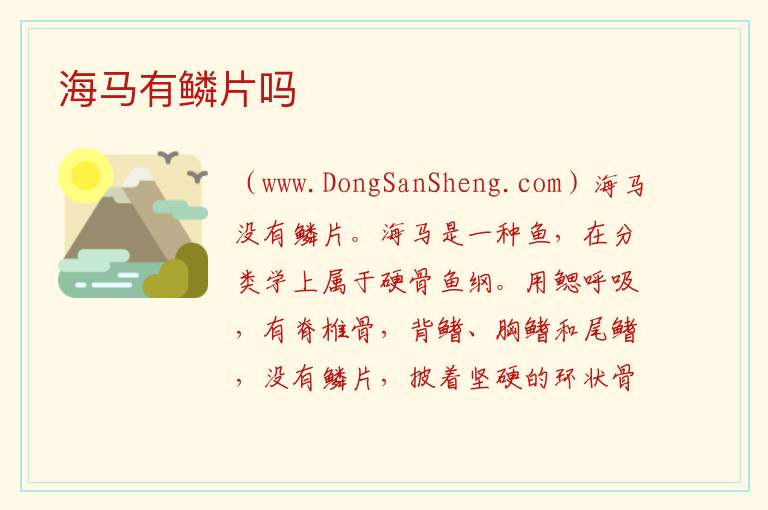 海马有鳞片吗 