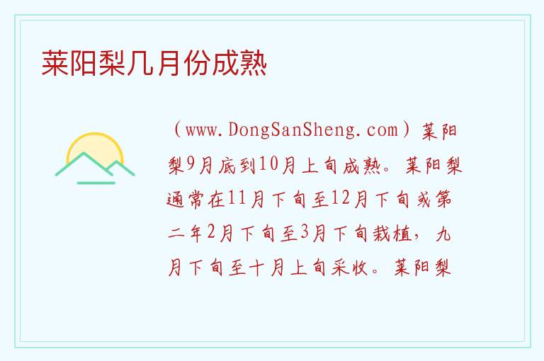 莱阳梨几月份成熟 