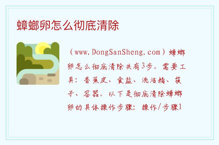 蟑螂卵怎么彻底清除 