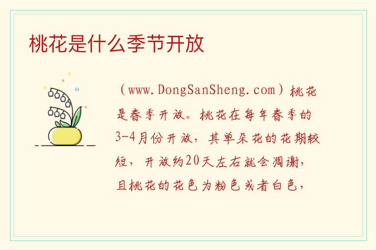桃花是什么季节开放 
