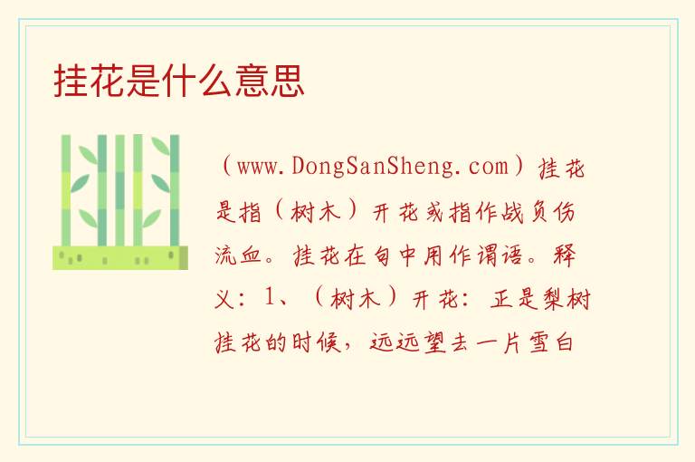 夜场挂花是什么意思，夜场挂花是什么意思