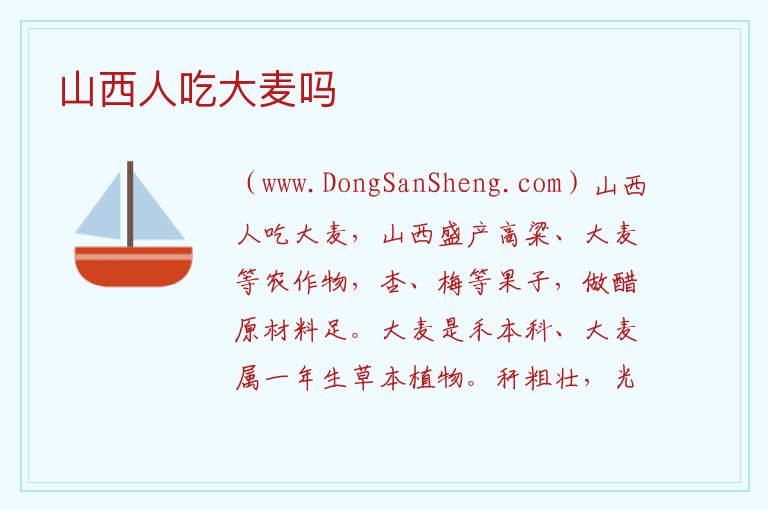 山西人吃大麦吗 大麦的功效与禁忌