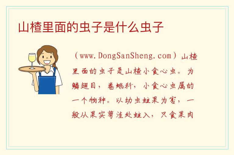 山楂里面的虫子是什么虫子 