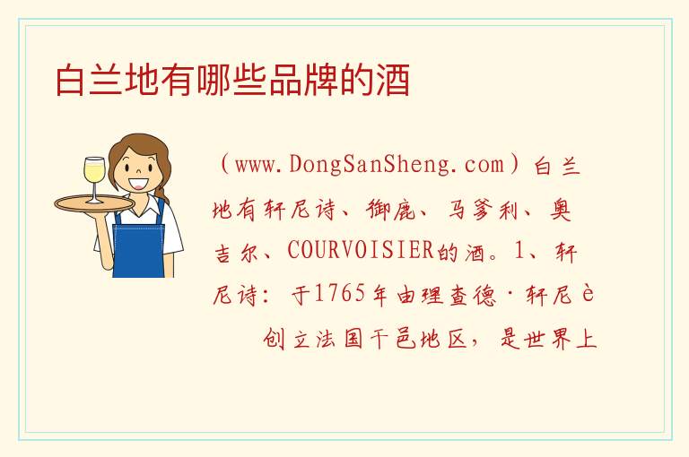 白兰地有哪些品牌的酒 