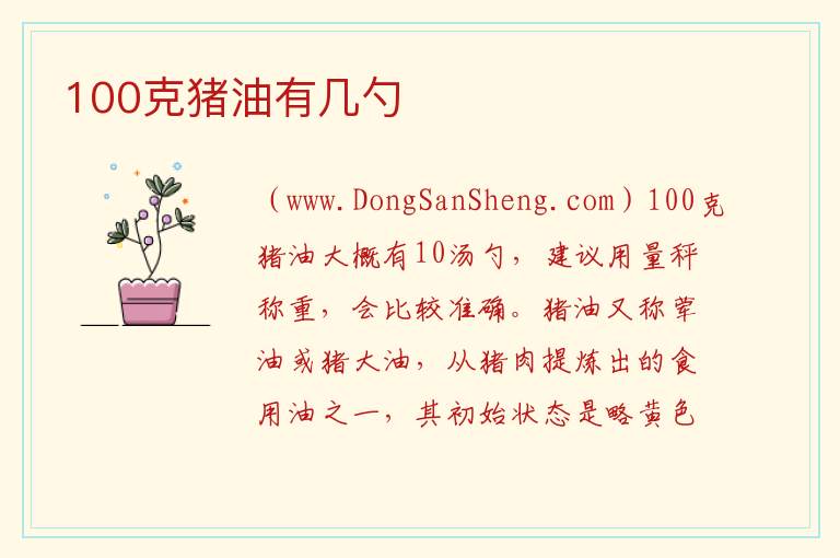 100克猪油有几勺 