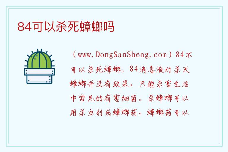 84可以杀死蟑螂吗 