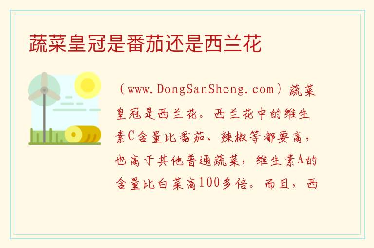 蔬菜皇冠是番茄还是西兰花 