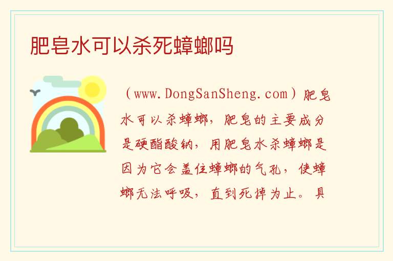 肥皂水可以杀死蟑螂吗 