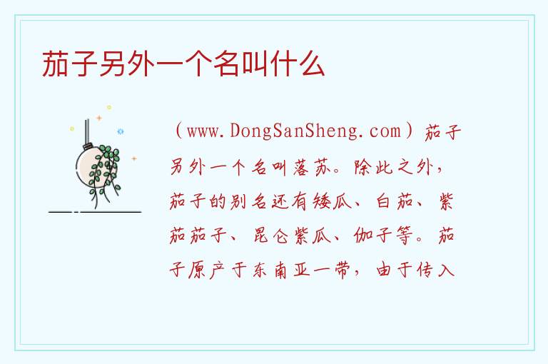 茄子另外一个名叫什么 