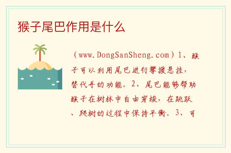 猴子尾巴作用是什么 