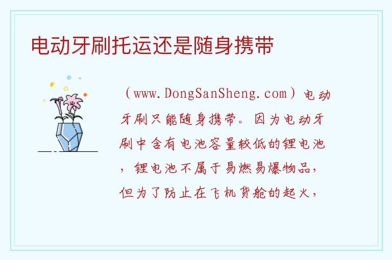 电动牙刷托运还是随身携带 