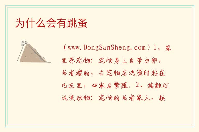 为什么会有跳蚤 
